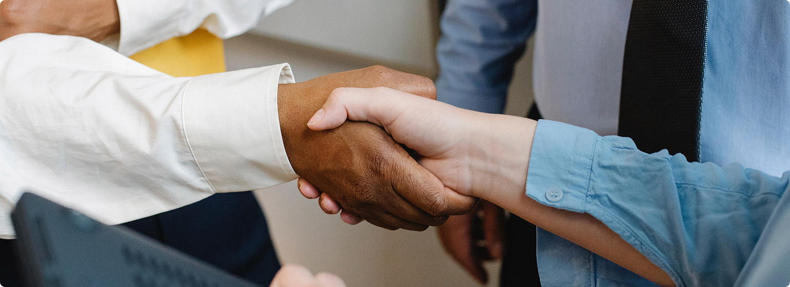 UI/UX Website Designer